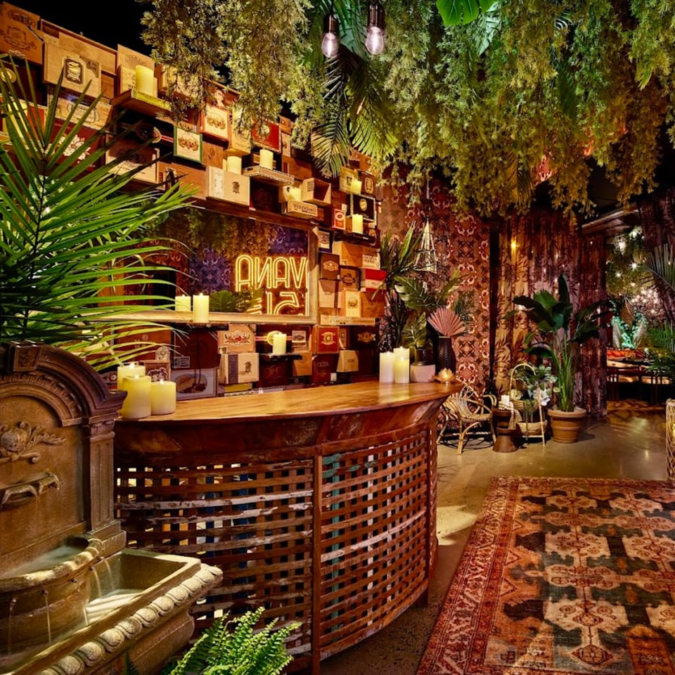 Havana 151 bar with a neon sign, cigar box wall, lush plants, and patterned rug.