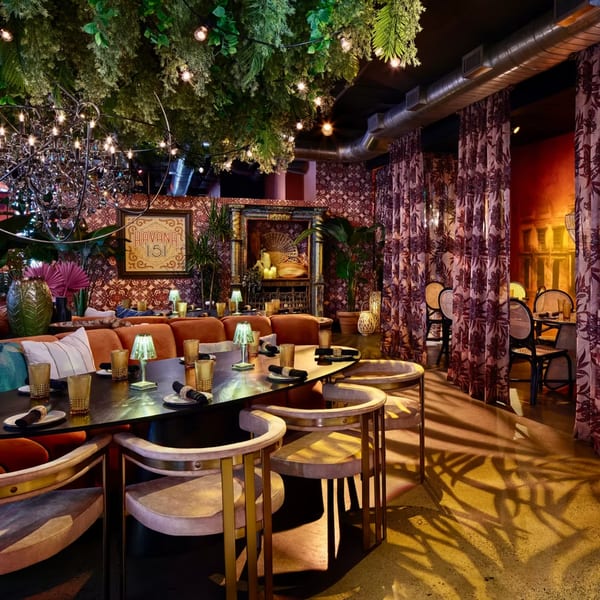 Havana 151 restaurant interior with lush greenery, string lights, and patterned curtains.