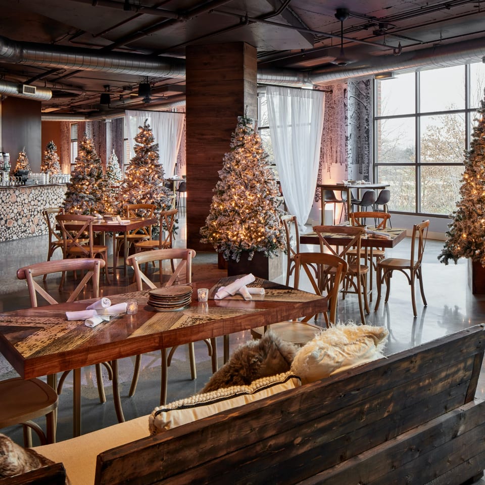 Havana 151 restaurant dining area with festive Christmas trees, wooden tables, and large windows.