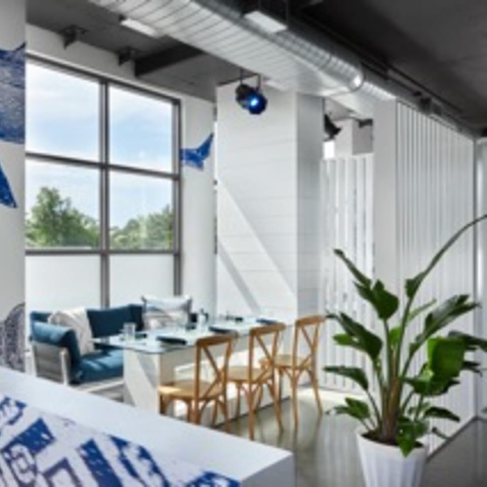 Bright, modern dining area at Havana 151 with large windows, blue seating, and wooden chairs.